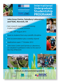 Poster for the Summer programme